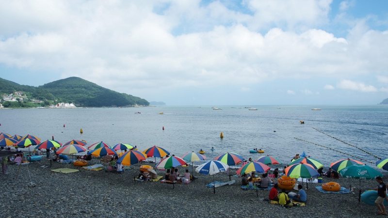 雷神模拟器 场景参考图